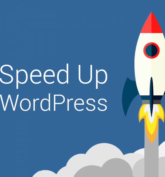 Speed Up WordPress