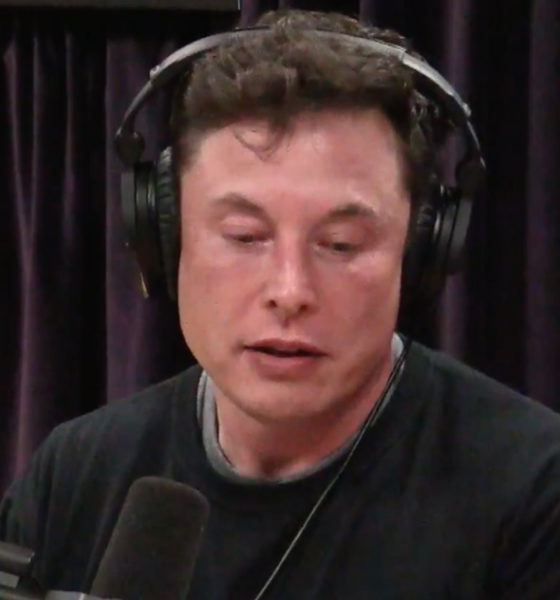 Elon Musk Interview